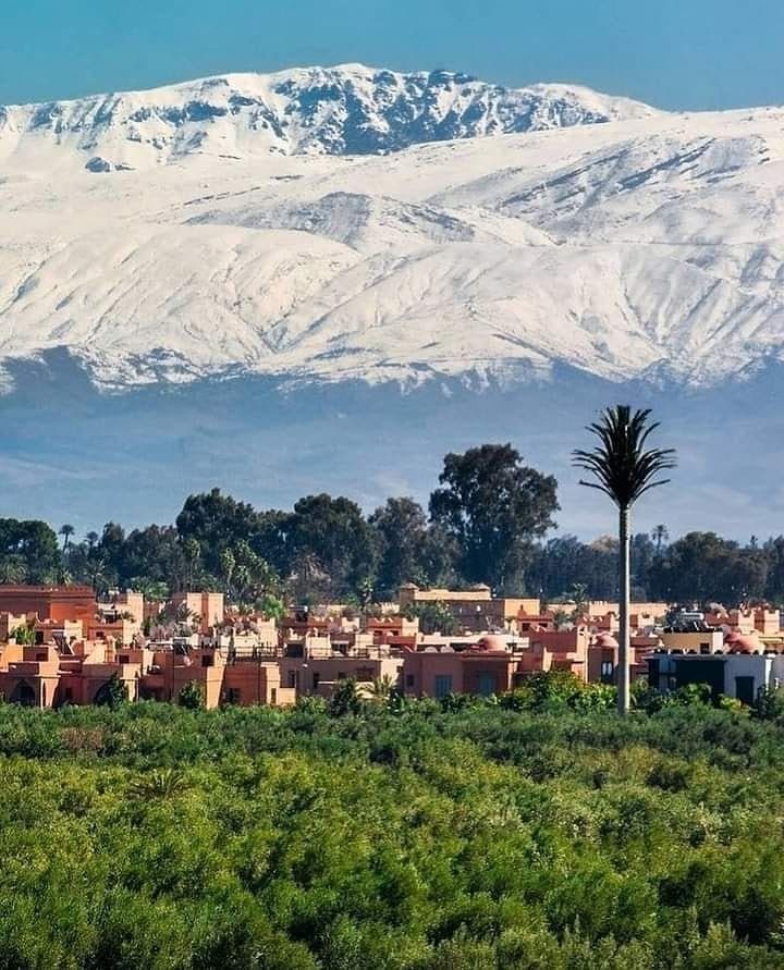 Moroccan travel experience