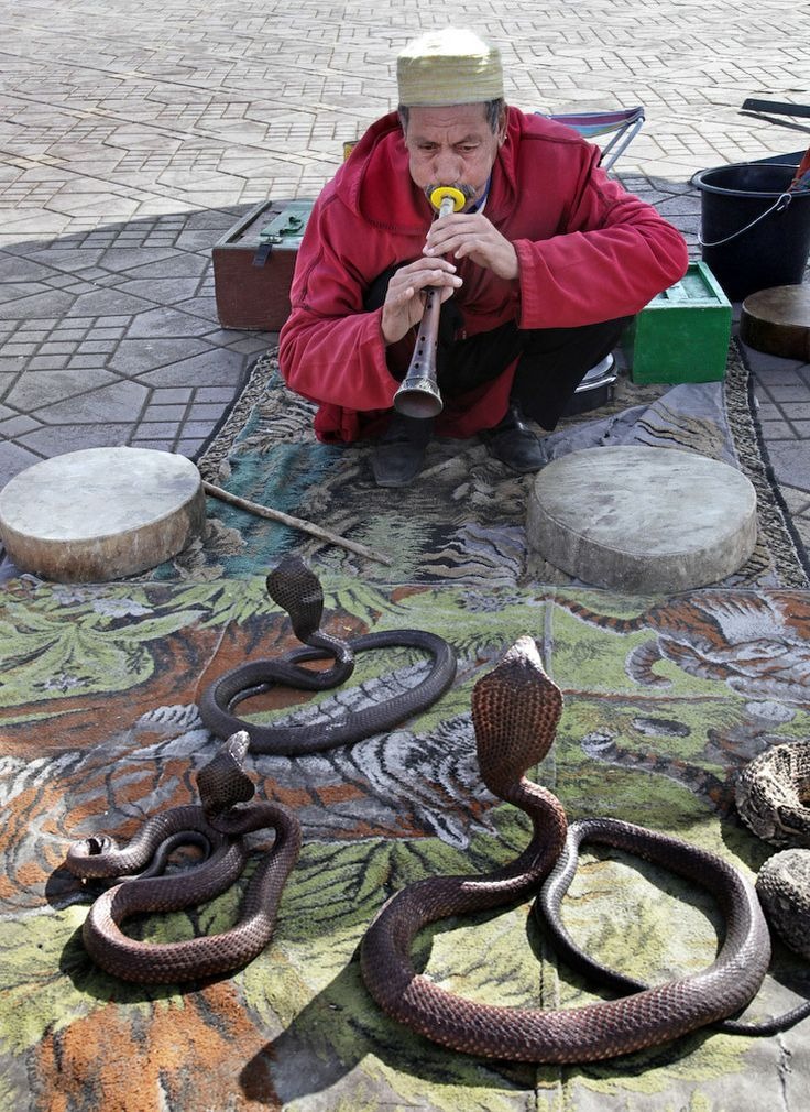 Moroccan travel experience