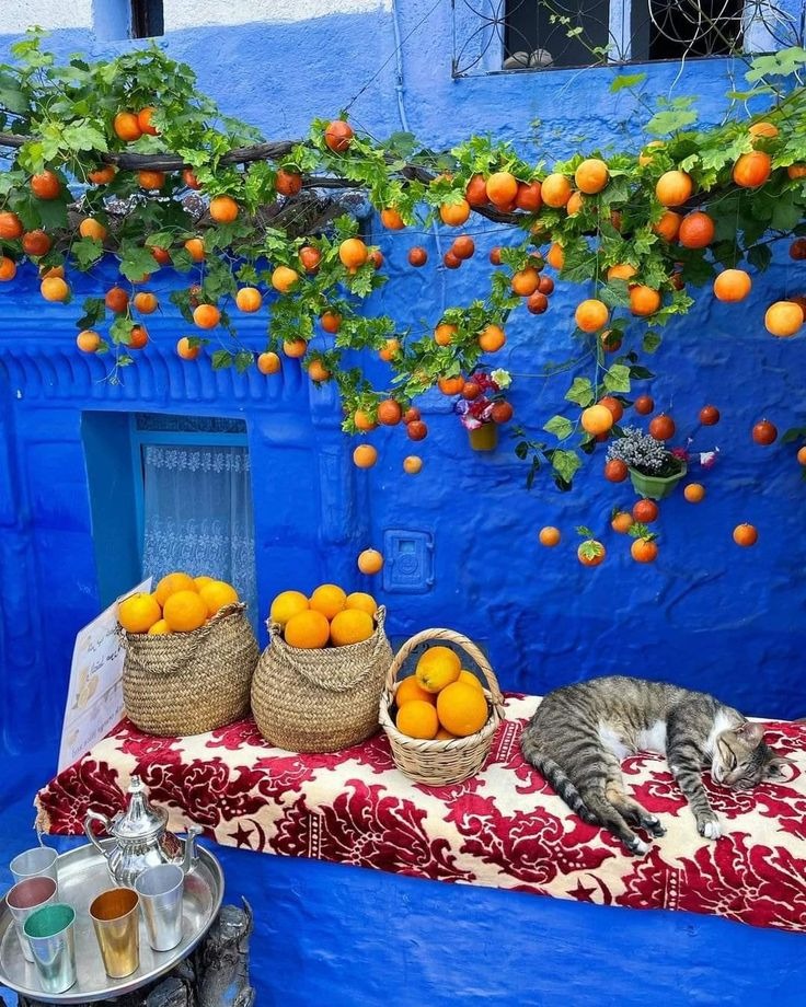 Moroccan travel experience