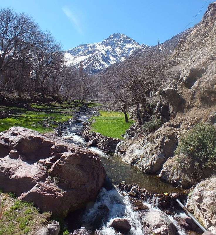Moroccan travel experience