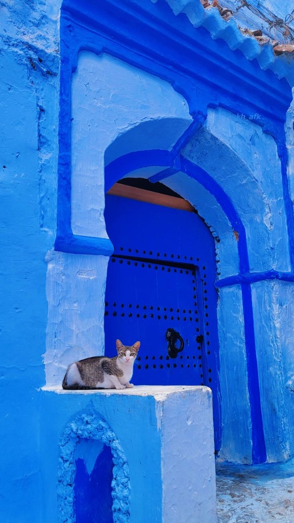 Moroccan travel experience